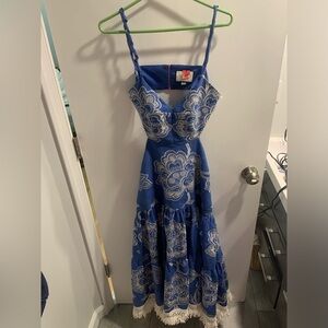 Alexis Blue and White Maxi Dress